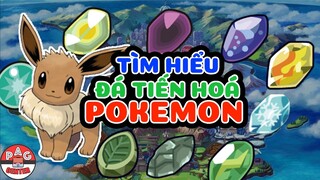 Những điều thú vị về ĐÁ TIẾN HOÁ trong Pokemon | PAG Center