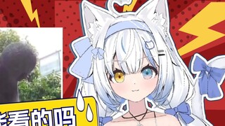 「98」Kucing Bodoh Menonton Botol-kun Mengiris Pelempar Cakram【Yuyin_channel﻿】