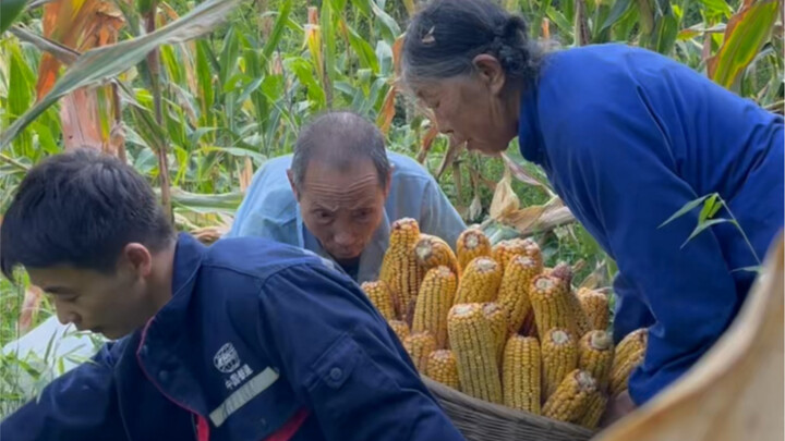 Ông nội nói rằng trong bất kỳ thời điểm khó khăn nào, nếu bạn giữ được tâm trạng vui vẻ, mọi việc sẽ