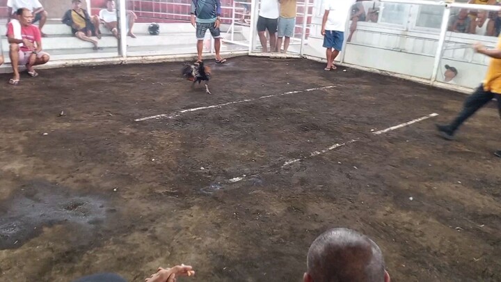 los pero Patay den kalaban namin