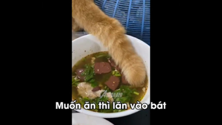 Meme mặn Mòi Dành Cho Người Thiếu Muối #meme