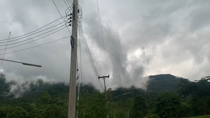 ไอน้ำจากต้นไม้ถูกมวลอากาศดูดขึ้น ก่อนฝนตก