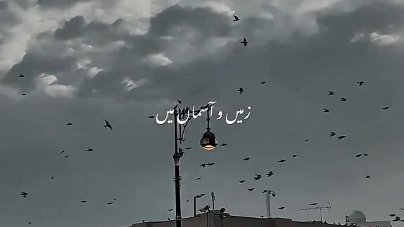 Wo Muhammad ❤️