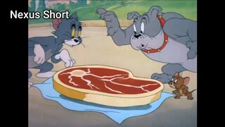 Tom & Jerry (Ep 35.3) The Truce Hurts (phần 3) #TomandJerry