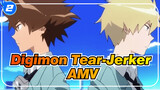 Digimon Tear-Jerker AMV_2