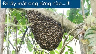 Ong Rừng Đuổi Đốt