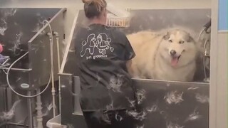 友情提示：看这个视频是可以呼吸的！