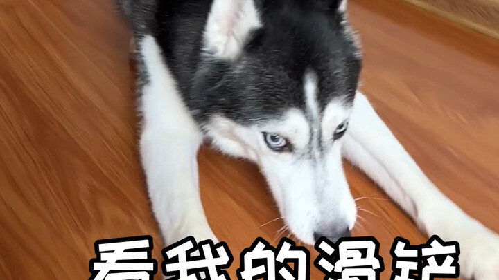 Control the Huskies for 40 minutes!