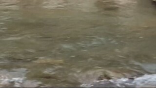 cast netting in Nepal | himalayan trout fishing with handmade cast net |