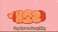 Dog Knows Everything eps 2