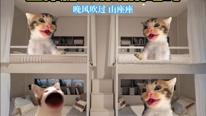 当你和室友玩接唱时