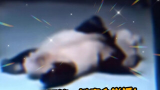 أوراق حية وفاكهة لذيذة واضحة جدًا