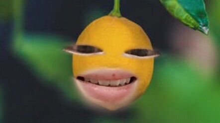 كاي شوكون، أنت تستحق الموت!