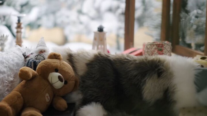 tide of love season 2 ep 1 🇰🇷