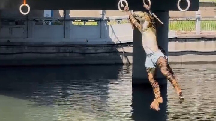 ไดโนเสาร์พาหมาป่าและโบกมือ