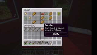 minceraft survie 4