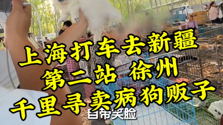 Buying dogs online is rife with scams: sick pups, tough维权, and virtually no after-sales support. Can