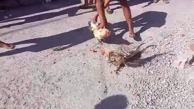 di naka Lusot ang 2times winner ng kalaban🤏