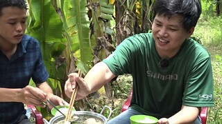 Câu cá tra lên làm món ăn này đậm chất miền tây luôn mọi người