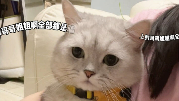 Damn, I almost believed him.