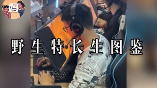【野生人类图鉴】大家好，现在奉上我的才艺展示【妈见打】