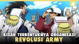 Organisasi Paling Ditakuti Pemerintah Dunia!! Kisah Terbentuknya Pasukan Revolusi One Piece