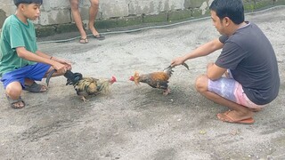 win melsim grey ala sugat nag ka yayaan ni bapa