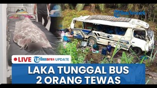 🔴 LIVE: Bus Laka Tunggal di Tanjakan Trans Sulawesi, 2 Orang Tewas Diduga karena Rem Blong