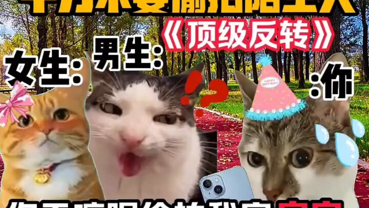 《猫meme小剧场》千万不要偷拍陌生人！