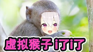 主 播 不 是 人