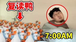 用100只复读鸭叫兄弟起床？！他会是什么反应？！笑喷了哈哈哈哈哈哈哈