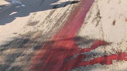 A chance encounter with a Taoist friend’s bloody killer move