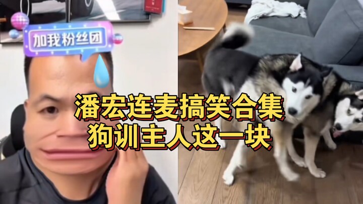 คลิปตลกไฮไลต์ของพานหงหลัน: ตอนหมาสั่งสอนเจ้าของ ถึงกับกลับตาลปัตรไปหมด!