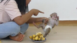 Mom Give a little Discipline To Maki | Because Maki Try Bite Baby Maku While Eating Banana Together