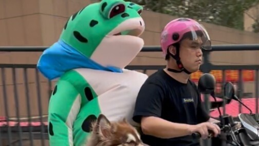 How should I defend my rights if I am scammed after inviting a college student to walk my dog?
