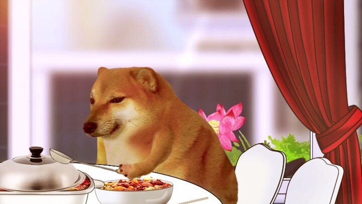 cheems，不该看的别看