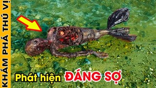 🔥 Sinh Vật Kỳ Quái & Đáng Sợ Này Trôi Dạt Vào Bờ Biển Khiến Mọi Người Chia Sẻ Ầm Ầm Trên MXH