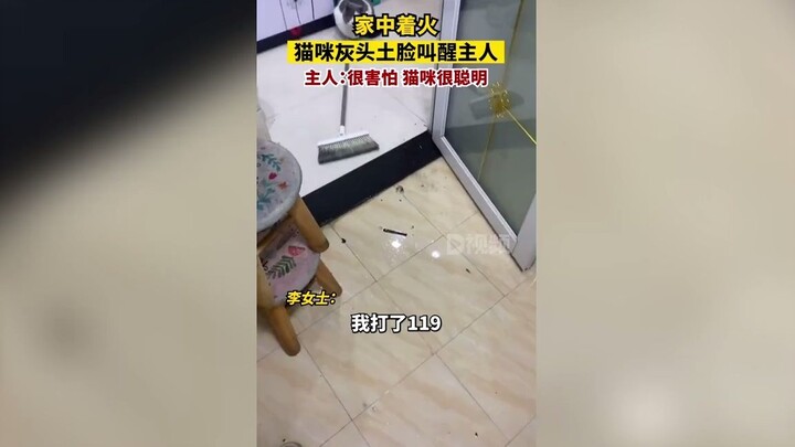 Cat covered in soot wakes up its owner after a fire breaks out at home. Ms. Li said the bathroom hea