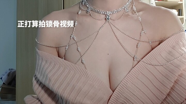 Không ăn thì đừng bới, mèo con có ý đồ gì xấu đâu!