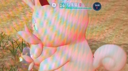 Mischievous Cat: Don't do something like this!