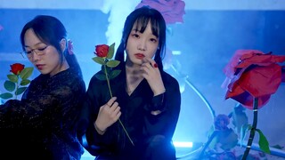 [Times Youth League] "I'm Not Your Good Boy"｜The first three-person full cover of "Stalker" on the I