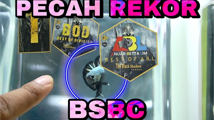 PECAH REKOR ?? BSBC TERBANYAK DI INDONESIA