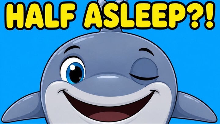 Amazing Dolphin Facts! 🐬 Ocean Fun for Kids 🌊✨