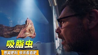 想减肥吧？想靠歪门邪道吗？看完这个视频你还是乖乖运动减肥吧！