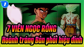 7 VIÊN NGỌC RỒNG- Hoành tráng Bản phối hiệu đính_1