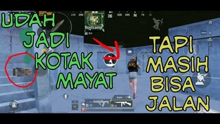 MAIN SOLO SQUAD TAPI MATINYA KOK KAYAK GINI?