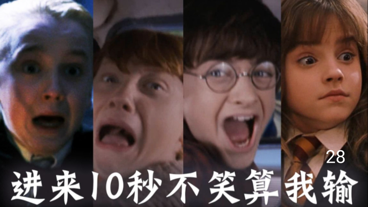 只有哈迷才懂的梗28