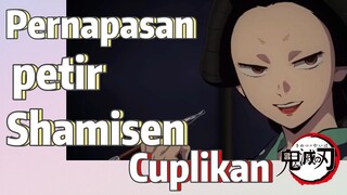 [Demon Slayer] Cuplikan |  Pernapasan petir  Shamisen