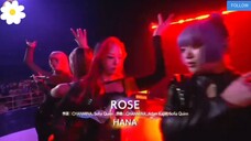 HANA ROSE LIVE