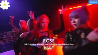 HANA ROSE LIVE
